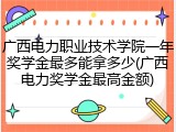 广西电力职业技术学院一年奖学金最多能拿多少(广西电力奖学金最高金额)