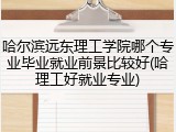 哈尔滨远东理工学院哪个专业毕业就业前景比较好(哈理工好就业专业)