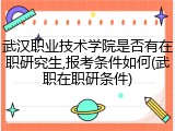 武汉职业技术学院是否有在职研究生,报考条件如何(武职在职研条件)