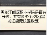 黑龙江能源职业学院是否有分校，共有多少个校区(黑龙江能源校区数量)