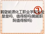 鹤壁能源化工职业学院含金量量吗，值得报吗(鹤能职院值得报吗)