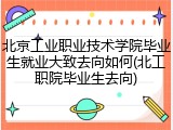 北京工业职业技术学院毕业生就业大致去向如何(北工职院毕业生去向)