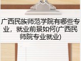 广西民族师范学院有哪些专业，就业前景如何(广西民师院专业就业)