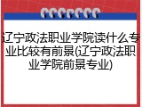 辽宁政法职业学院读什么专业比较有前景(辽宁政法职业学院前景专业)