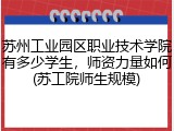苏州工业园区职业技术学院有多少学生，师资力量如何(苏工院师生规模)
