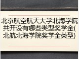 北京航空航天大学北海学院共开设有哪些类型奖学金(北航北海学院奖学金类型)