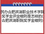 民办合肥滨湖职业技术学院奖学金评定细则是怎样的(合肥滨湖职院奖学金细则)