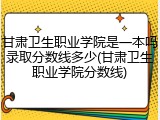 甘肃卫生职业学院是一本吗录取分数线多少(甘肃卫生职业学院分数线)