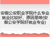 安徽公安职业学院什么专业就业比较好，原因是啥(安徽公安学院好就业专业)