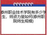 泰州职业技术学院有多少学生，师资力量如何(泰州职院师生规模)