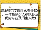 咸阳师范学院什么专业最好，一年招多少人(咸阳师范优势专业及招生人数)