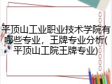 平顶山工业职业技术学院有哪些专业，王牌专业分析(平顶山工院王牌专业)