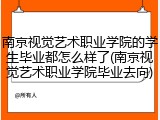 南京视觉艺术职业学院的学生毕业都怎么样了(南京视觉艺术职业学院毕业去向)