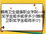赣南卫生健康职业学院一年奖学金最多能拿多少(赣南卫职奖学金最高多少)