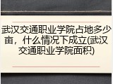 武汉交通职业学院占地多少亩，什么情况下成立(武汉交通职业学院面积)