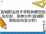 宣城职业技术学院有哪些知名校友，简单分析(宣城职院知名校友分析)