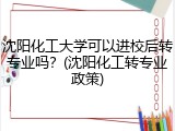 沈阳化工大学可以进校后转专业吗？(沈阳化工转专业政策)