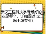 武汉工程科技学院最好的专业是哪个，详细阐述(武工院王牌专业)