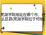 芜湖学院地址在哪个市，什么区县(芜湖学院位于何地)