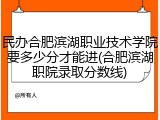 民办合肥滨湖职业技术学院要多少分才能进(合肥滨湖职院录取分数线)