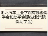 湖北汽车工业学院有哪些奖学金和助学金呢(湖北汽院奖助学金)