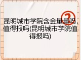昆明城市学院含金量量吗，值得报吗(昆明城市学院值得报吗)