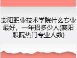 襄阳职业技术学院什么专业最好，一年招多少人(襄阳职院热门专业人数)