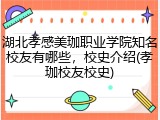 湖北孝感美珈职业学院知名校友有哪些，校史介绍(孝珈校友校史)