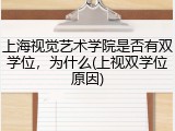 上海视觉艺术学院是否有双学位，为什么(上视双学位原因)