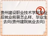 贵州建设职业技术学院毕业后就业前景怎么样，毕业生去向(贵州建院就业去向)
