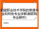 鹤壁职业技术学院的普通专业和特色专业详解(鹤职院专业解析)