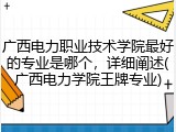 广西电力职业技术学院最好的专业是哪个，详细阐述(广西电力学院王牌专业)