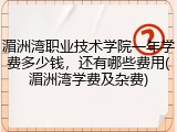 湄洲湾职业技术学院一年学费多少钱，还有哪些费用(湄洲湾学费及杂费)