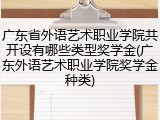 广东省外语艺术职业学院共开设有哪些类型奖学金(广东外语艺术职业学院奖学金种类)