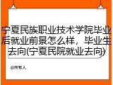 宁夏民族职业技术学院毕业后就业前景怎么样，毕业生去向(宁夏民院就业去向)