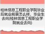 桂林信息工程职业学院毕业后就业前景怎么样，毕业生去向(桂林信息工程职业学院就业去向)