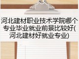 河北建材职业技术学院哪个专业毕业就业前景比较好(河北建材好就业专业)