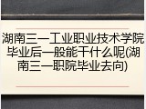 湖南三一工业职业技术学院毕业后一般能干什么呢(湖南三一职院毕业去向)