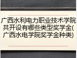 广西水利电力职业技术学院共开设有哪些类型奖学金(广西水电学院奖学金种类)