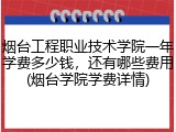 烟台工程职业技术学院一年学费多少钱，还有哪些费用(烟台学院学费详情)