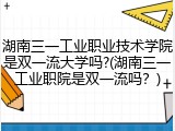 湖南三一工业职业技术学院是双一流大学吗?(湖南三一工业职院是双一流吗？)