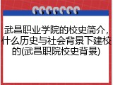 武昌职业学院的校史简介，什么历史与社会背景下建校的(武昌职院校史背景)