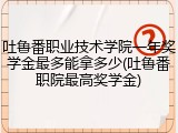 吐鲁番职业技术学院一年奖学金最多能拿多少(吐鲁番职院最高奖学金)