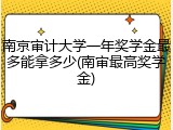 南京审计大学一年奖学金最多能拿多少(南审最高奖学金)