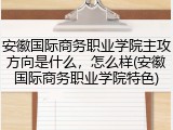 安徽国际商务职业学院主攻方向是什么，怎么样(安徽国际商务职业学院特色)