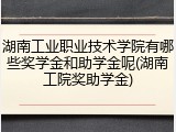 湖南工业职业技术学院有哪些奖学金和助学金呢(湖南工院奖助学金)