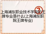 上海浦东职业技术学院的王牌专业是什么(上海浦东职院王牌专业)