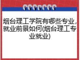 烟台理工学院有哪些专业，就业前景如何(烟台理工专业就业)