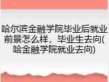 哈尔滨金融学院毕业后就业前景怎么样，毕业生去向(哈金融学院就业去向)