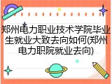 郑州电力职业技术学院毕业生就业大致去向如何(郑州电力职院就业去向)